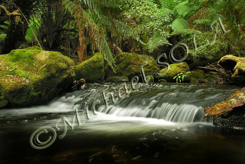 © Smike Photography by Michael Sola - All Rights Reserved